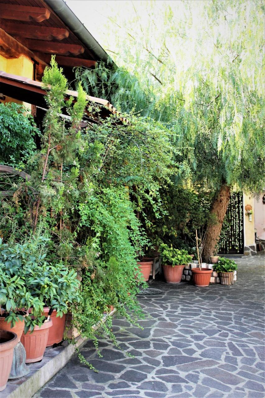 I Gerani Rossi Casa de hóspedes Roma